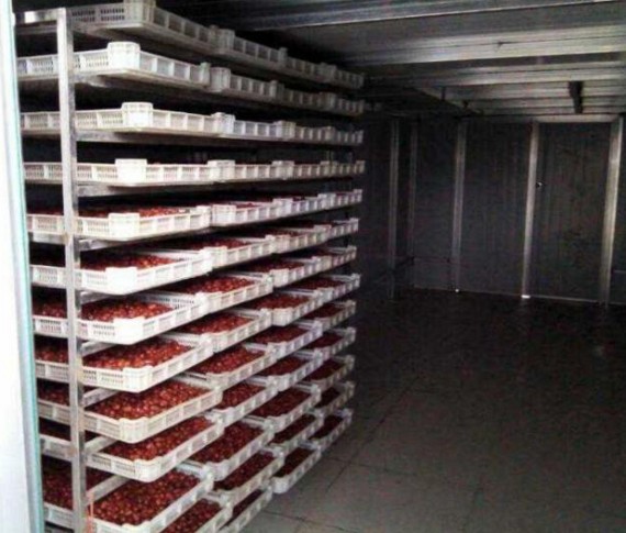 �����ɻ�