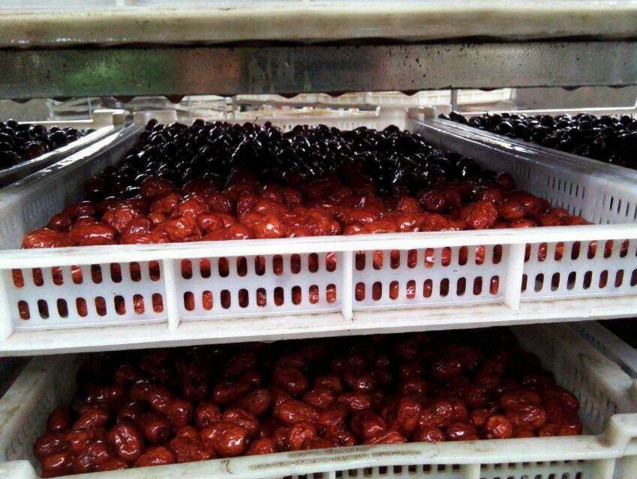 �����ɻ�