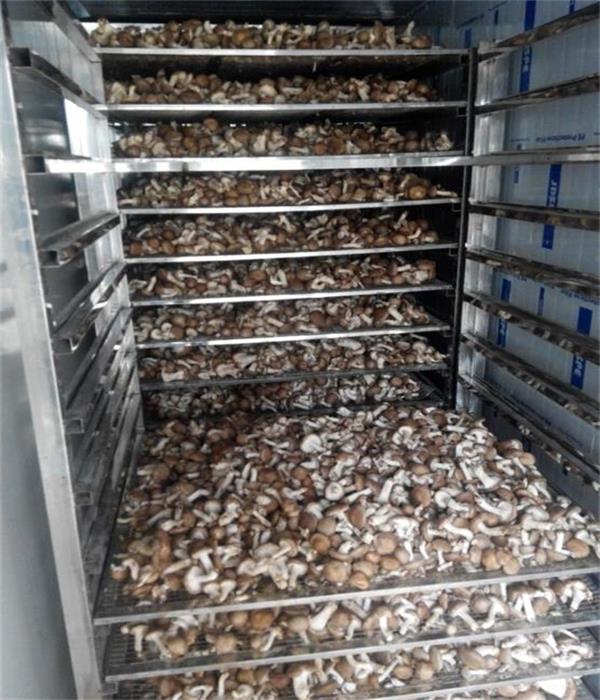 ���ͺ����